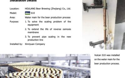 Houlang Beer